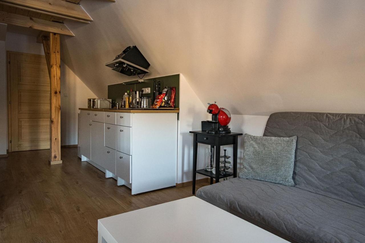 Janovska Apartment *