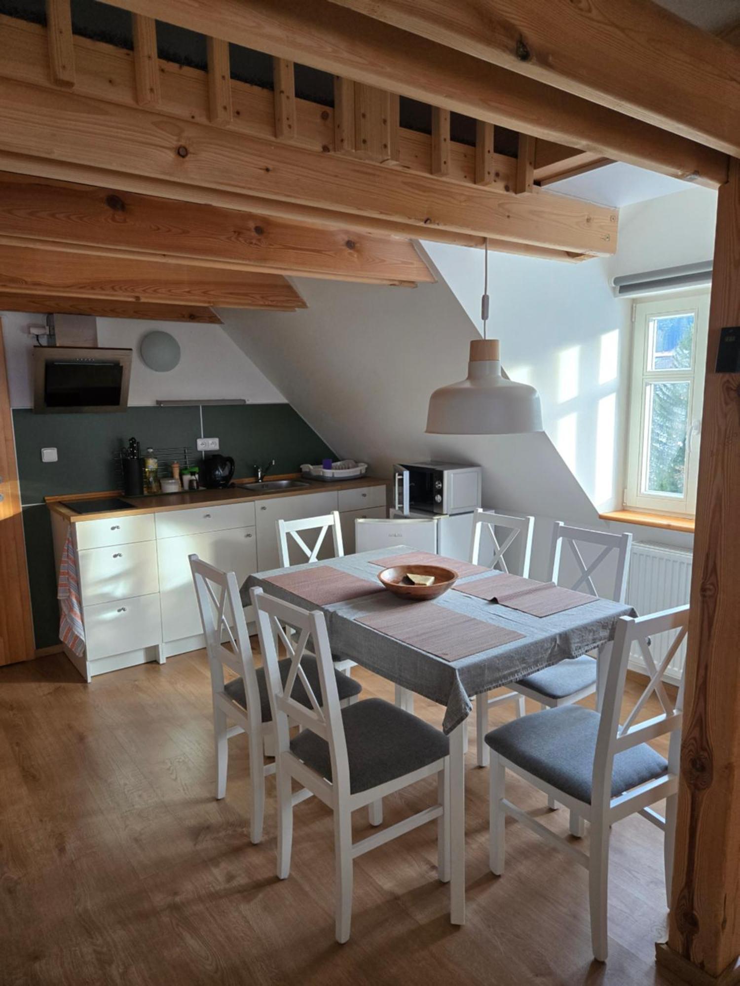 Janovska Apartment